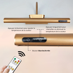 Applique Murale Pour Peinture - Vignette | Votre applique murale